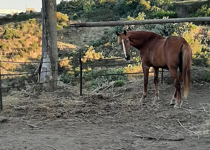 U Zu Peppino Lipari (Isola Lipari)