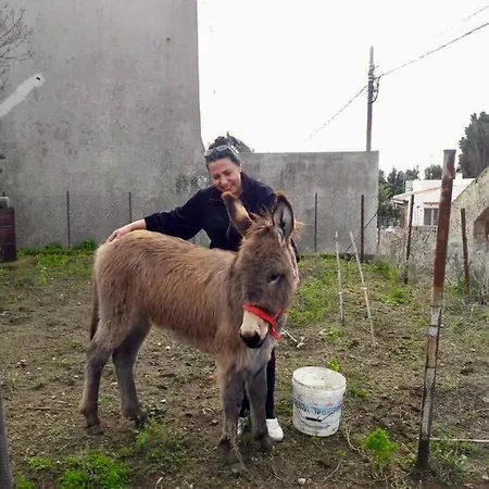 U Zu Peppino Séjour à la ferme *