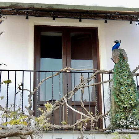 U Zu Peppino Farm stay Lipari (Isola Lipari)