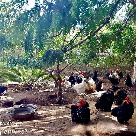 Feriegård U Zu Peppino Lipari (Isola Lipari)
