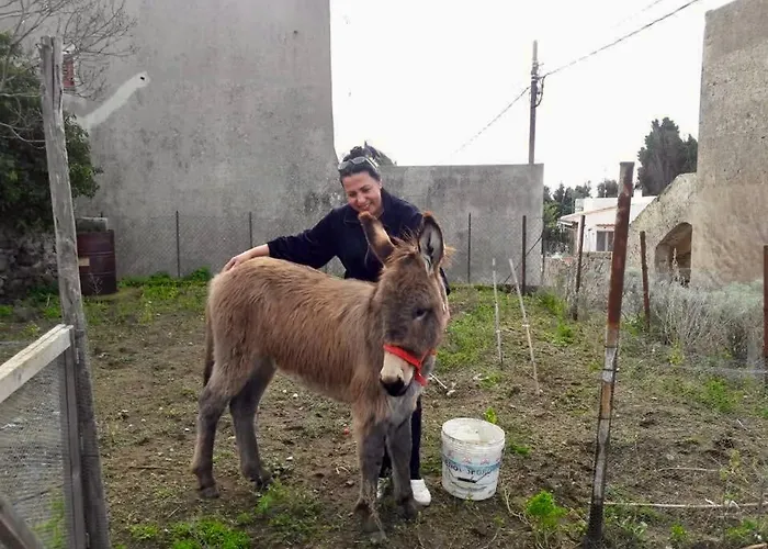 U Zu Peppino Farma *