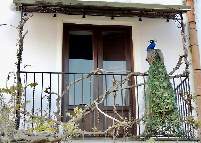 U Zu Peppino Farm stay Lipari (Isola Lipari)