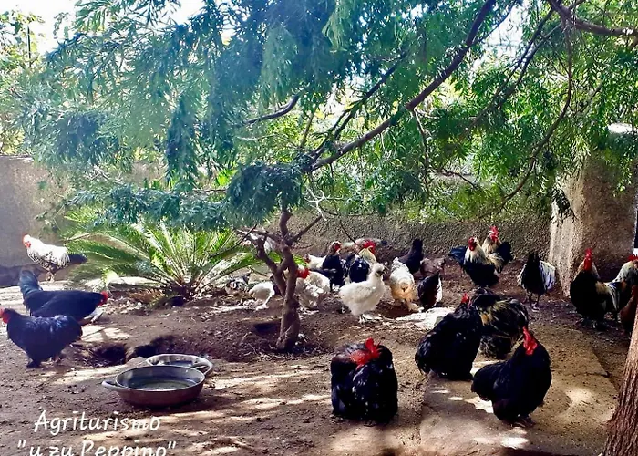 Bauernhof U Zu Peppino Lipari (Isola Lipari)